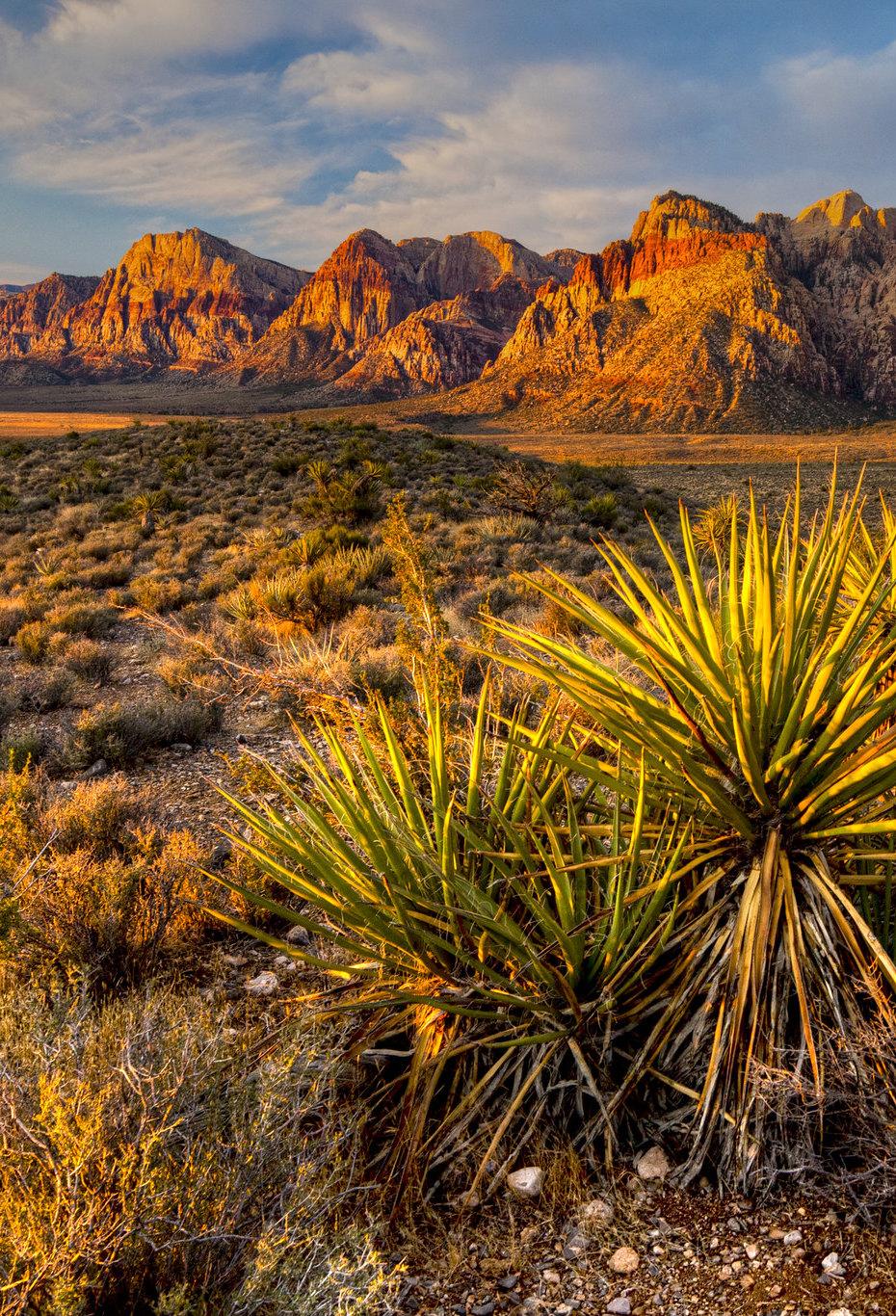 Red Rock Canyon National Conservation Area